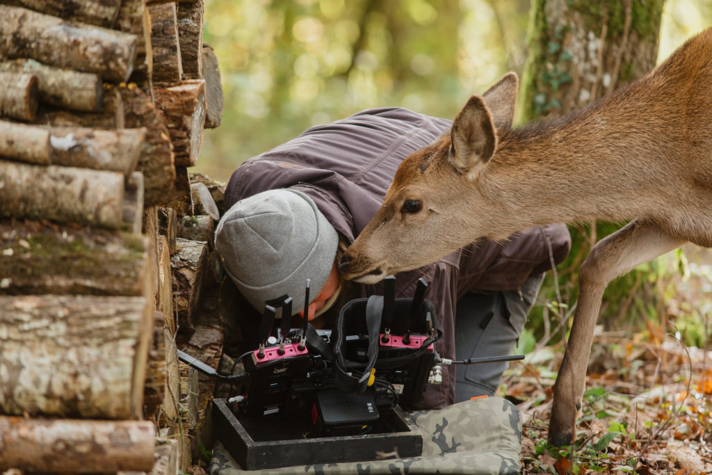 Rodinný film BAMBI