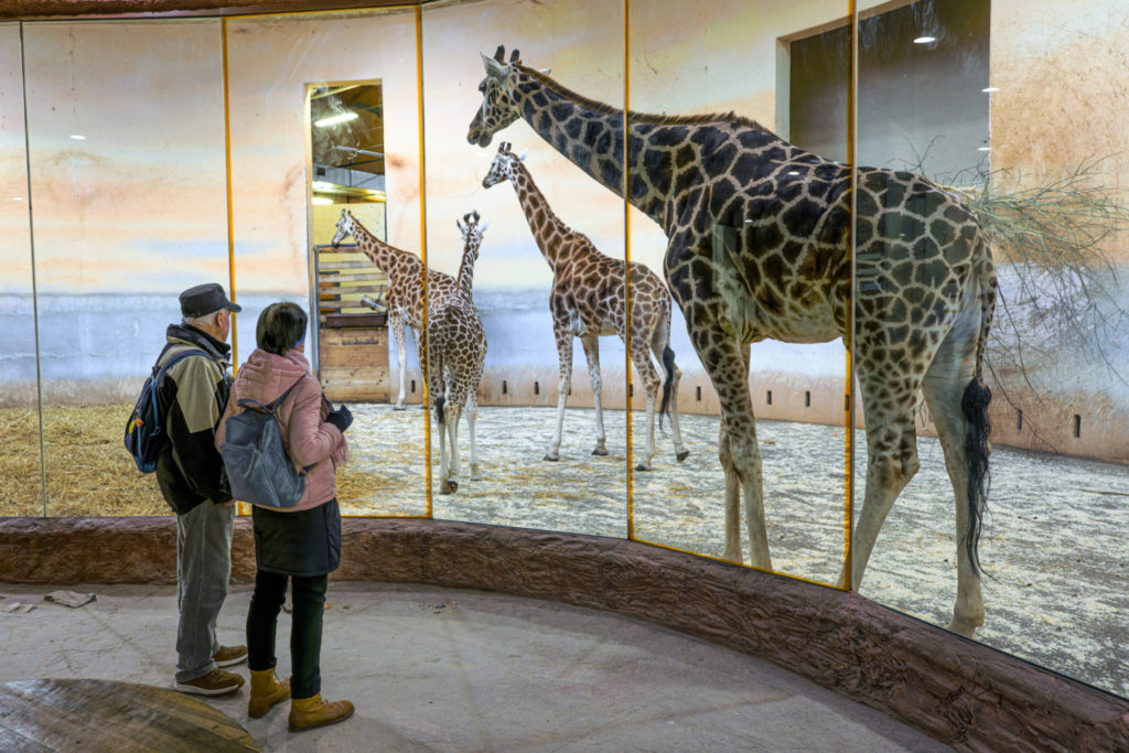 Zoo Praha zve návštěvníky do vyhřívaných pavilonů